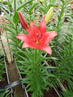 [5076 Break Out No01.JPG]